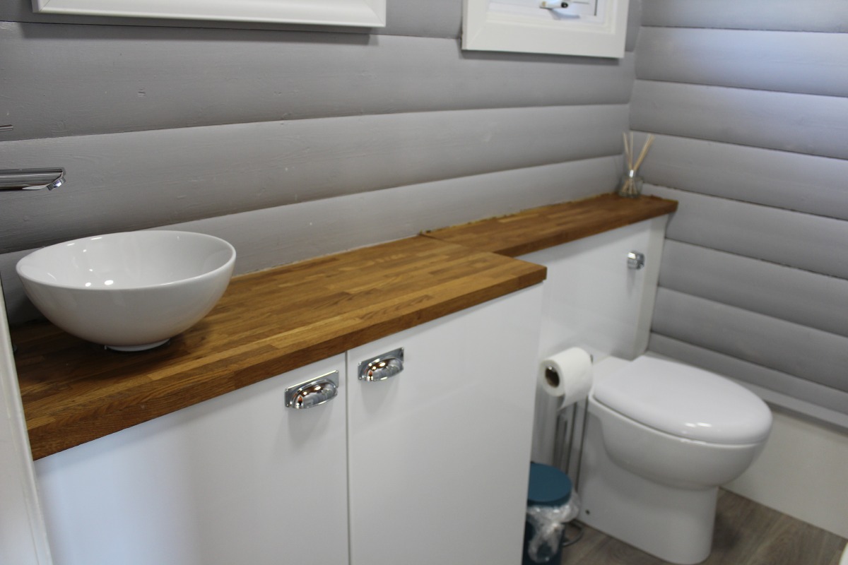 Bathroom basin and WC